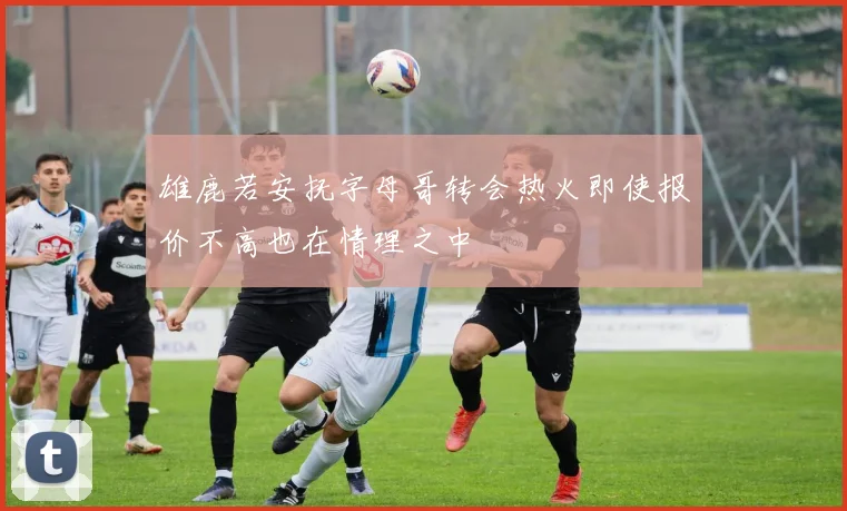雄鹿若安抚字母哥转会热火即使报价不高也在情理之中